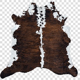 Textures   -   MATERIALS   -   RUGS   -   Cowhides rugs  - Cow leather rug texture 20025