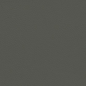 Textures   -   MATERIALS   -   LEATHER  - Leather texture seamless 09604 - Specular