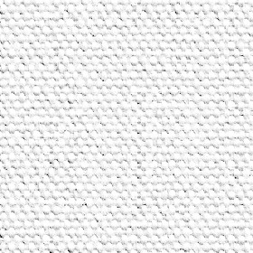 Textures   -   MATERIALS   -   CARPETING   -   Natural fibers  - Carpeting natural fibers texture seamless 20684 - Ambient occlusion