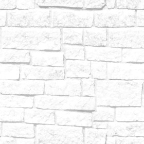 Textures   -   ARCHITECTURE   -   STONES WALLS   -   Stone walls  - Old wall stone texture seamless 08579 - Ambient occlusion