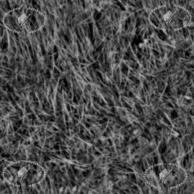 Textures   -   NATURE ELEMENTS   -   VEGETATION   -   Green grass  - Green grass texture seamless 12968 - Displacement