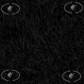 Textures   -   NATURE ELEMENTS   -   VEGETATION   -   Green grass  - Green grass texture seamless 12968 - Specular