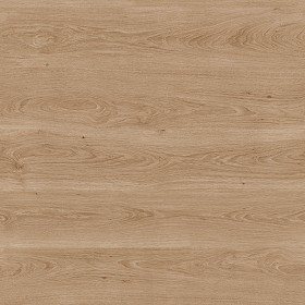 Textures   -   ARCHITECTURE   -   WOOD   -   Fine wood   -   Light wood  - Light wood fine texture seamless 04311 (seamless)