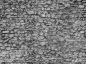 Textures   -   ARCHITECTURE   -   STONES WALLS   -   Stone walls  - Italy old wall stone texture seamless 19796 - Displacement