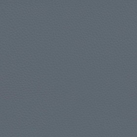 Textures   -   MATERIALS   -   LEATHER  - Leather texture seamless 09608 - Specular