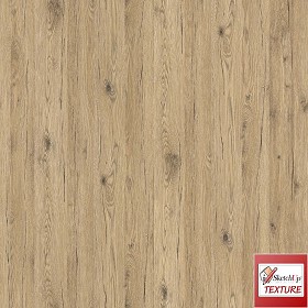 Textures   -   ARCHITECTURE   -   WOOD   -  Raw wood - Raw wood oak light PBR texture seamless 21546