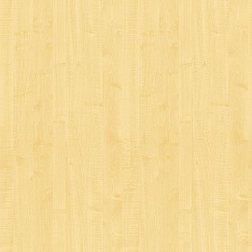 Textures   -   ARCHITECTURE   -   WOOD   -   Fine wood   -   Light wood  - Maple light wood fine texture seamless 04313 (seamless)