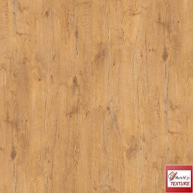 Textures   -   ARCHITECTURE   -   WOOD   -   Raw wood  - Pale lancelot oak raw PBR texture seamless 21549 (seamless)