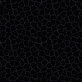 Textures   -   MATERIALS   -   FUR ANIMAL  - Leopard faux fake fur animal texture seamless 09574 - Specular