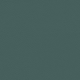 Textures   -   MATERIALS   -   LEATHER  - Leather texture seamless 09611 - Specular