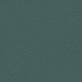 Textures   -   MATERIALS   -   LEATHER  - Leather texture seamless 09611 - Specular