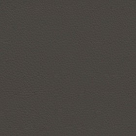 Textures   -   MATERIALS   -   LEATHER  - Leather texture seamless 09612 - Specular