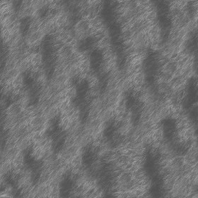 Textures   -   MATERIALS   -   FUR ANIMAL  - Cat animal fur texture seamless 09576 - Displacement