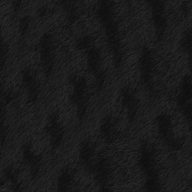 Textures   -   MATERIALS   -   FUR ANIMAL  - Cat animal fur texture seamless 09576 - Specular