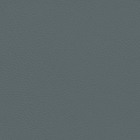 Textures   -   MATERIALS   -   LEATHER  - Leather texture seamless 09613 - Specular