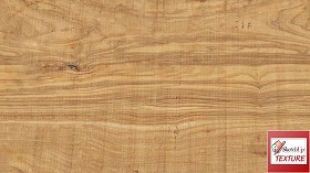 Textures   -   ARCHITECTURE   -   WOOD   -  Raw wood - Raw wood PBR texture seamless 21838