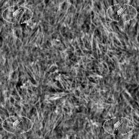 Textures   -   NATURE ELEMENTS   -   VEGETATION   -   Green grass  - Green grass texture seamless 12969 - Displacement