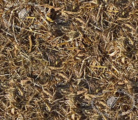Textures   -   NATURE ELEMENTS   -   VEGETATION   -  Dry grass - Dry leaves after harvest of corn texture seamless 17675