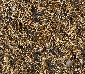 Textures   -   NATURE ELEMENTS   -   VEGETATION   -   Dry grass  - Dry leaves after harvest of corn texture seamless 17675 (seamless)