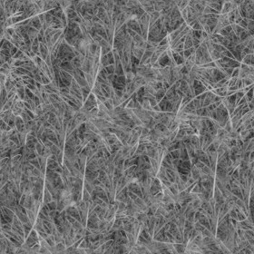 Textures   -   NATURE ELEMENTS   -   VEGETATION   -   Dry grass  - Dry grass texture seamless 18654 - Displacement