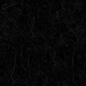 Textures   -   NATURE ELEMENTS   -   VEGETATION   -   Dry grass  - Dry grass texture seamless 18654 - Specular