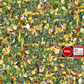 Textures   -  FREE PBR TEXTURES - Meadow with leaves PBR texture seamless 21845