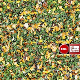 Textures   -   FREE PBR TEXTURES  - Meadow with leaves PBR texture seamless 21845 (seamless)