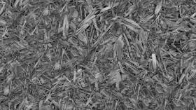 Textures   -   NATURE ELEMENTS   -   VEGETATION   -   Dry grass  - Dry leaves after harvest of corn texture seamless 18655 - Displacement