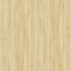 Textures   -   ARCHITECTURE   -   WOOD   -   Fine wood   -  Light wood - Light wood fine texture seamless 04324