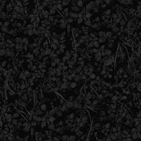 Textures   -   FREE PBR TEXTURES  - Green lawn PBR texture seamless 21847 - Specular