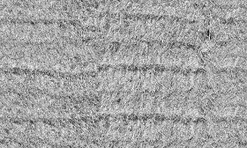 Textures   -   NATURE ELEMENTS   -   VEGETATION   -   Dry grass  - Hay texture seamless 20746 - Bump