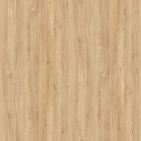 Textures   -   ARCHITECTURE   -   WOOD   -   Fine wood   -  Light wood - Light wood fine texture seamless 04326