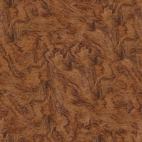 Textures   -   ARCHITECTURE   -   WOOD   -   Fine wood   -   Medium wood  - Bubinga wood fine medium color texture seamless 04435 (seamless)