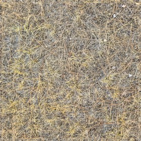 Textures   -   NATURE ELEMENTS   -   VEGETATION   -  Dry grass - ground dry pine needles PBR texture seamless 22435