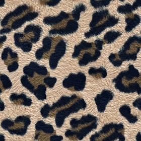 Textures   -   MATERIALS   -   FUR ANIMAL  - Leopard faux fake fur animal texture seamless 09554 (seamless)