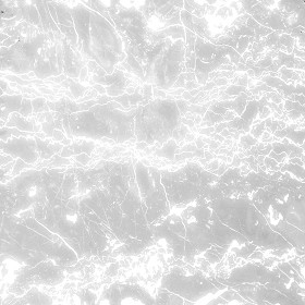 Textures   -   ARCHITECTURE   -   MARBLE SLABS   -   Black  - Slab marble black portoro texture seamless 01913 - Ambient occlusion