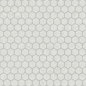 Textures   -   ARCHITECTURE   -   TILES INTERIOR   -  Hexagonal mixed - concrete hexagonal tile texture seamless 21399