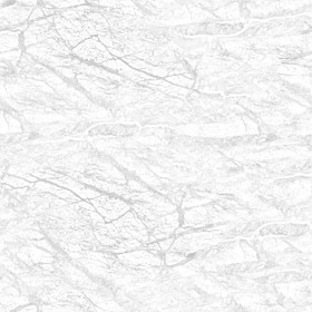 Textures   -   ARCHITECTURE   -   MARBLE SLABS   -   Brown  - Slab marble brown picasso texture seamless 02012 - Ambient occlusion