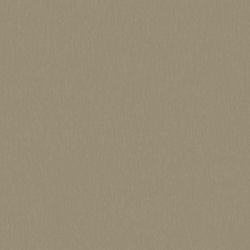 Textures   -   MATERIALS   -   METALS   -   Basic Metals  - Brass satin metal texture seamless 09773 - Specular