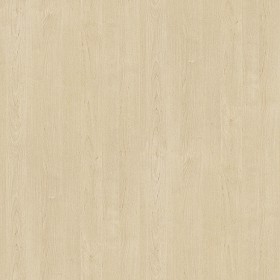 Textures   -   ARCHITECTURE   -   WOOD   -   Fine wood   -  Light wood - Light wood fine texture seamless 04338