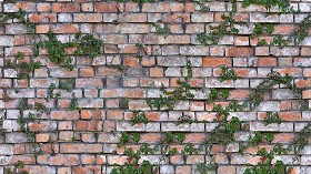 Textures   -   ARCHITECTURE   -   BRICKS   -  Damaged bricks - Old damaged wall bricks with grass texture seamless 20198