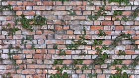 Textures   -   ARCHITECTURE   -   BRICKS   -   Damaged bricks  - Old damaged wall bricks with grass texture seamless 20198 (seamless)