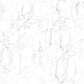 Textures   -   ARCHITECTURE   -   CONCRETE   -   Bare   -   Damaged walls  - Concrete bare damaged texture seamless 01364 - Ambient occlusion