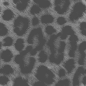 Textures   -   MATERIALS   -   FUR ANIMAL  - Leopard faux fake fur animal texture seamless 09555 - Displacement