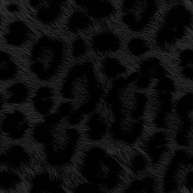 Textures   -   MATERIALS   -   FUR ANIMAL  - Leopard faux fake fur animal texture seamless 09555 - Specular