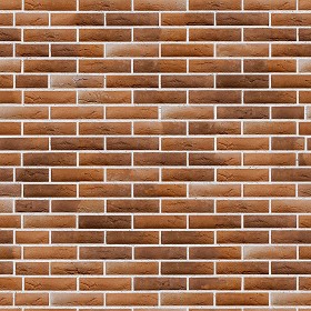 Textures   -   ARCHITECTURE   -   BRICKS   -   Facing Bricks   -   Rustic  - Rustic bricks texture seamless 00224 (seamless)