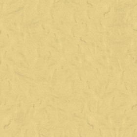 Textures   -   ARCHITECTURE   -   PLASTER   -  Painted plaster - Plaster painted wall texture seamless 06929