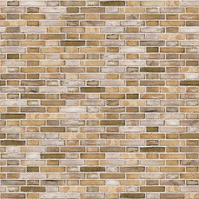 Textures   -   ARCHITECTURE   -   BRICKS   -   Facing Bricks   -  Rustic - Rustic bricks texture seamless 00227