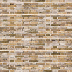 Textures   -   ARCHITECTURE   -   BRICKS   -   Facing Bricks   -   Rustic  - Rustic bricks texture seamless 00227 (seamless)