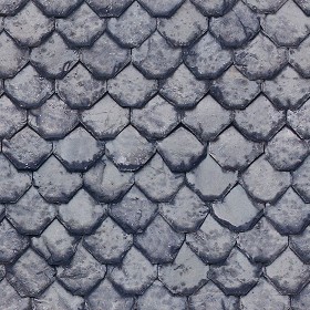 Textures   -   ARCHITECTURE   -   ROOFINGS   -   Slate roofs  - Slate roofing texture seamless 03948 (seamless)